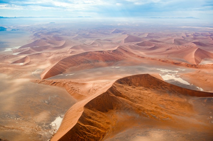 British Ecological Society image of desert