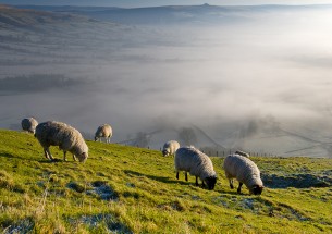 What should the UK's post-Brexit agri-environment policy look like?