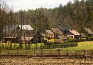 Press Release: Biodiversity begins at home: saving old villages helps save farmland birds