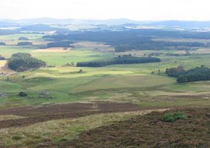 The Eeyore of Pessimism or the Lion’s Roar of Optimism? Options for Agri-environment schemes post Brexit.