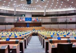 Policy in the European Parliament