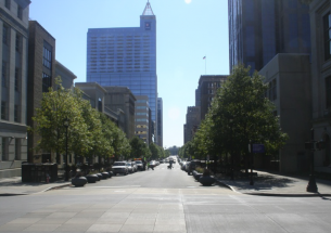 Lack of water is key stressor for urban trees