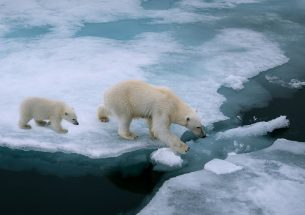 The Changing Arctic: An Environmental Audit Committee inquiry