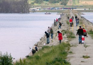 Researchers: Fish and anglers should inform water management decisions