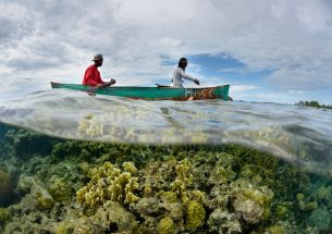 Scientists find fish body holds the key to make fishery management cheaper, easier