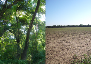 Maximizing the carbon and biodiversity benefits of restoration along rivers and streams