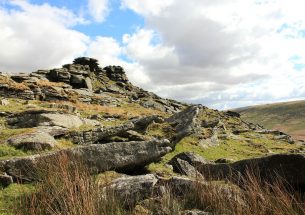 Rewilding may be a risk worth taking for landowners after Brexit, say Sussex experts