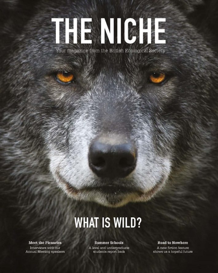 The Niche, your magazine from the BES