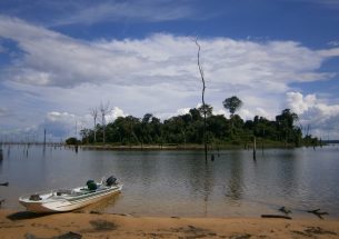 Experts warn against mega-dams in lowland tropical forests