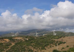 Wind turbines cause habitat loss for migratory soaring birds