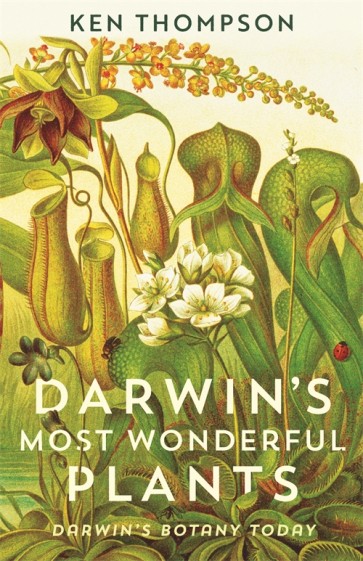 Book cover of Darwin's Most Wonderful Plants by Ken Thompson