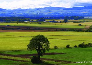 Twenty-two Scottish People