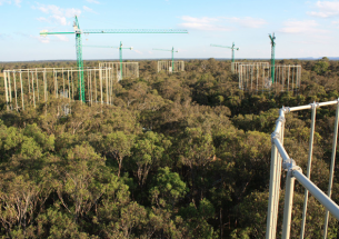 Increasing atmospheric CO2 concentrations, which causes climate change, also desynchronizes nutrient cycles