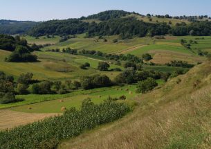 Connecting Shared and Spared Land in the Agricultural Landscape