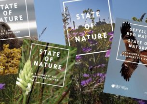 Reflections on the State of Nature report 2019