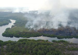 Emerging through the haze:  Moving forward to tackle Indonesia’s fire crisis