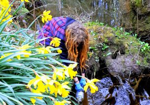 Fishing for Mammals: How DNA from rivers could revolutionise mammal detection on land