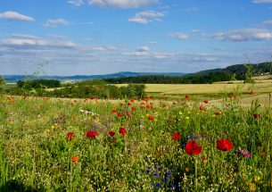 More taxpayers’ money for the environment and public benefit