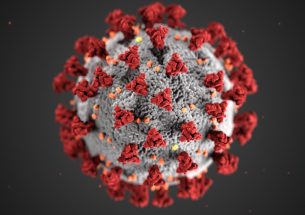 Coronavirus: information on BES activities in 2021