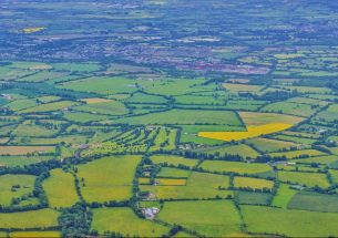 Smaller fields and diversified crops can help spontaneous plants to make a comeback, even in the middle of fields