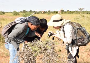 “We need more conservationists!" How a field course run by the Tropical Biology Association empowers the ecological community