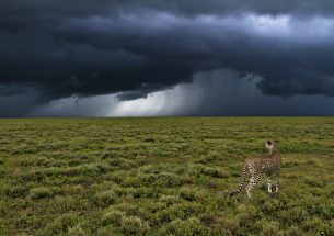 Join ecologists and climate scientists at 'Climate Science for Ecological Forecasting'