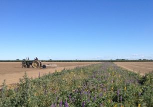 Bee neighbourly: sharing bees helps more farmers