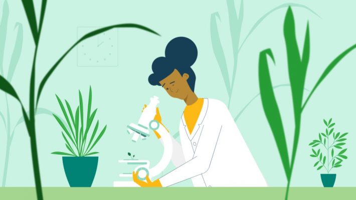Scientist looking at microscope surrounded by plants
