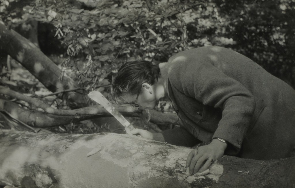 Hunting beetles with machete and cigarette 1952. Reproduced with the permission of the Department of Zoology, University of Oxford.