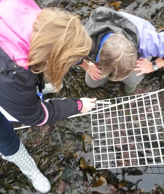 Citizen scientists at work (Photo: Hannah Grist)